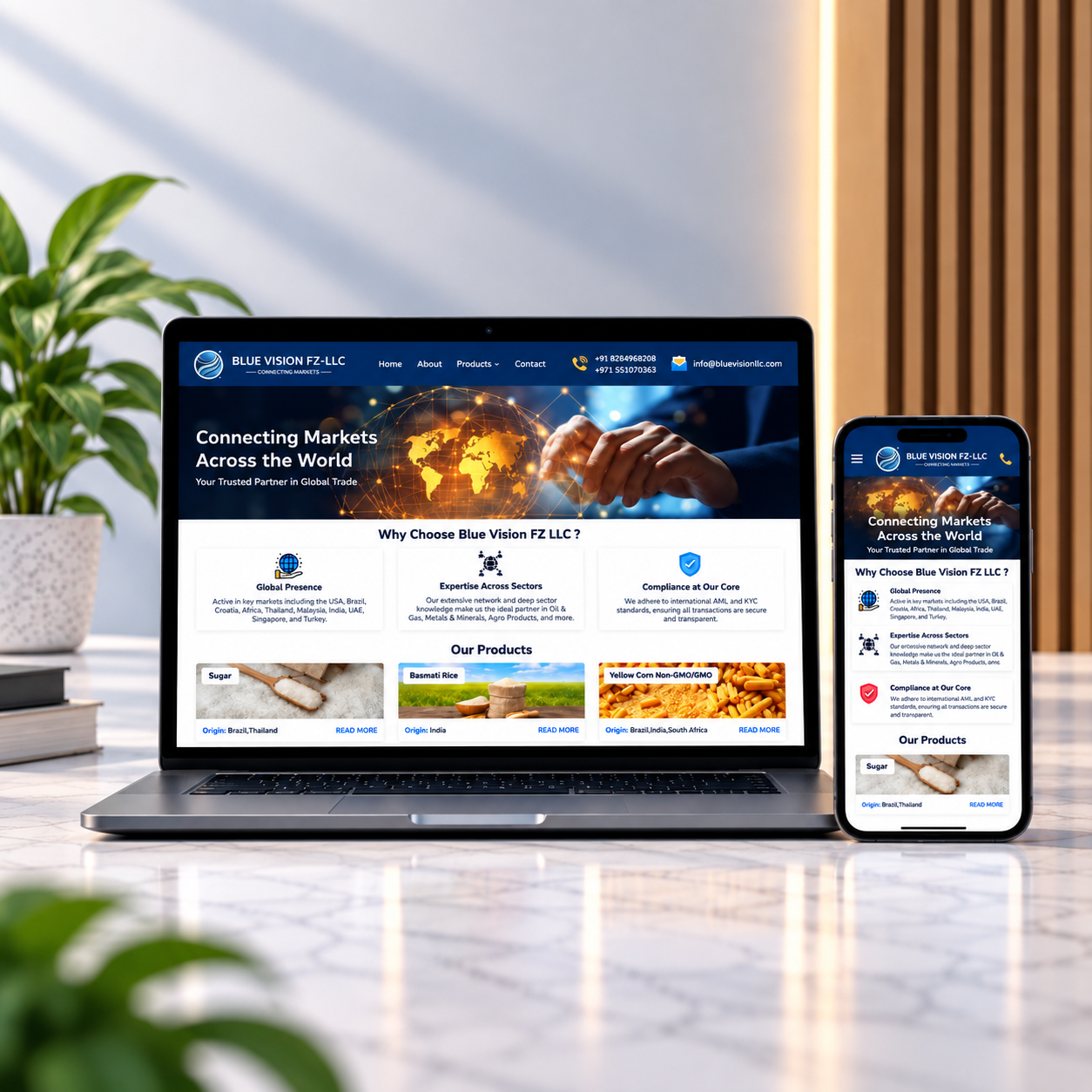 Blue Vision LLC